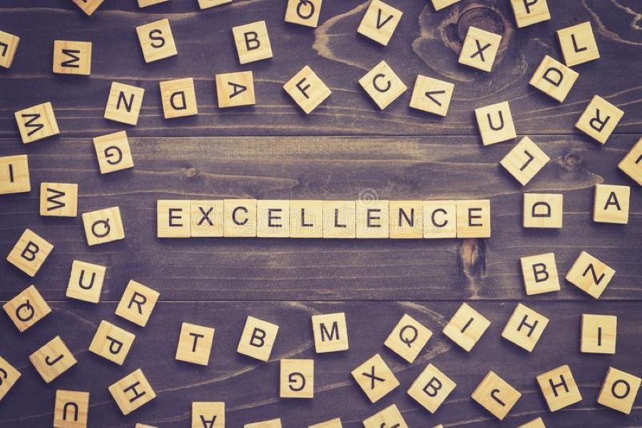 Success vs Excellence