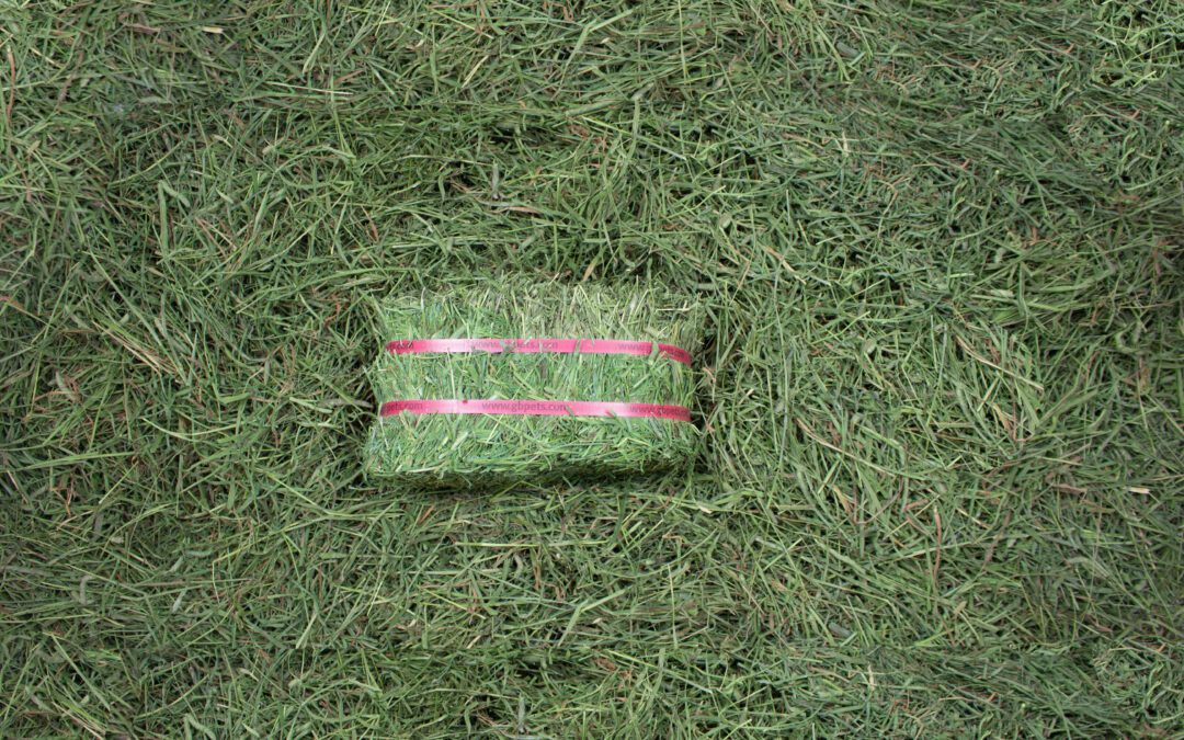 The Benefits of Compressed Hay