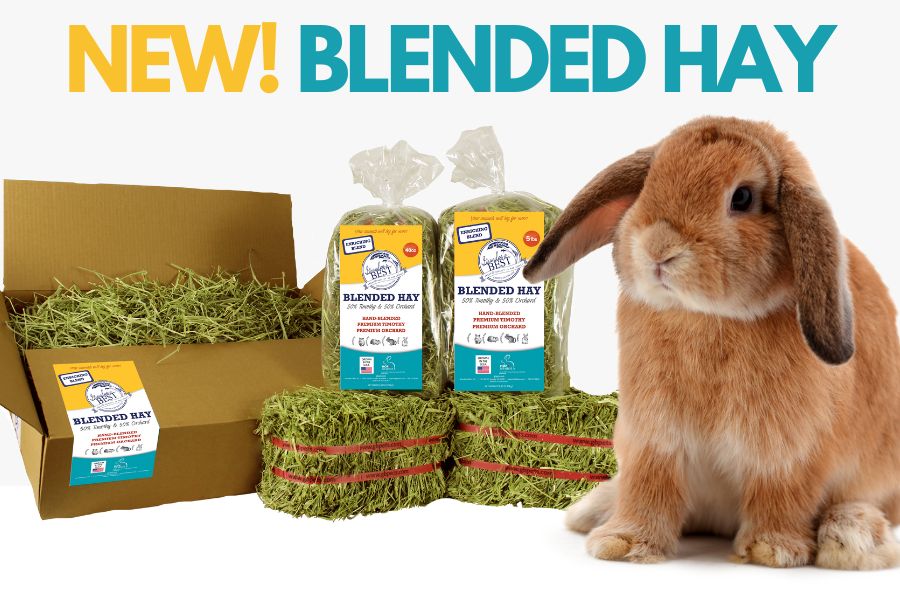 A New Blended Hay for Your Pet
