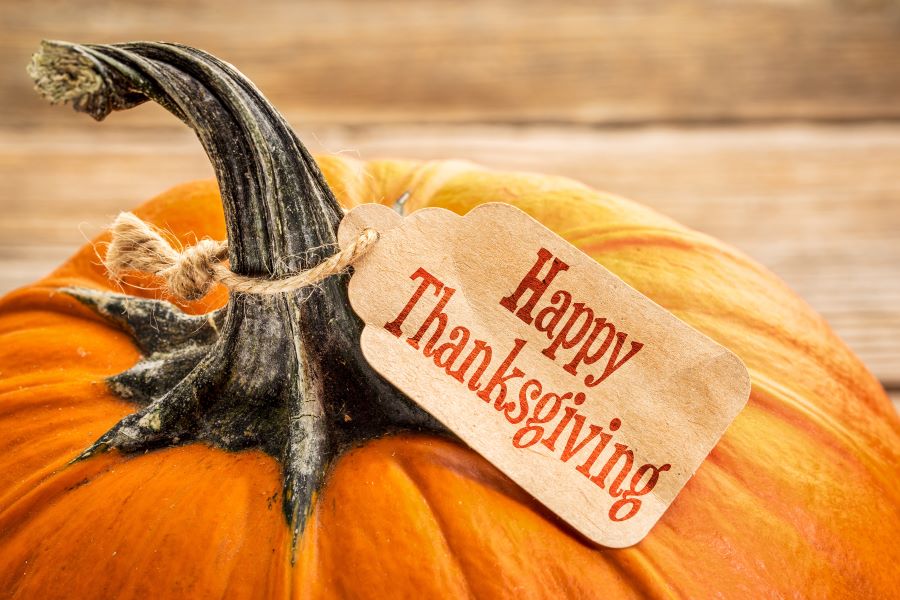 Harvesting Gratitude A Bestifor Thanksgiving Message