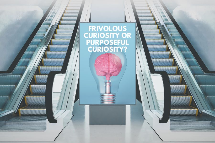 Frivolous Curiosity…..  or Purposeful Curiosity?