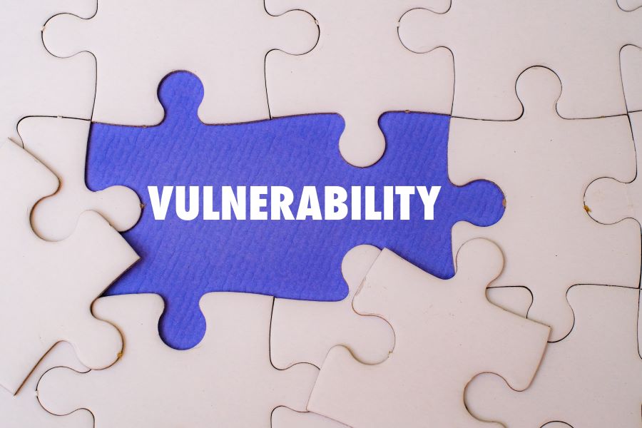 Vulnerability Vulnerability makes a good leader, a great leader.