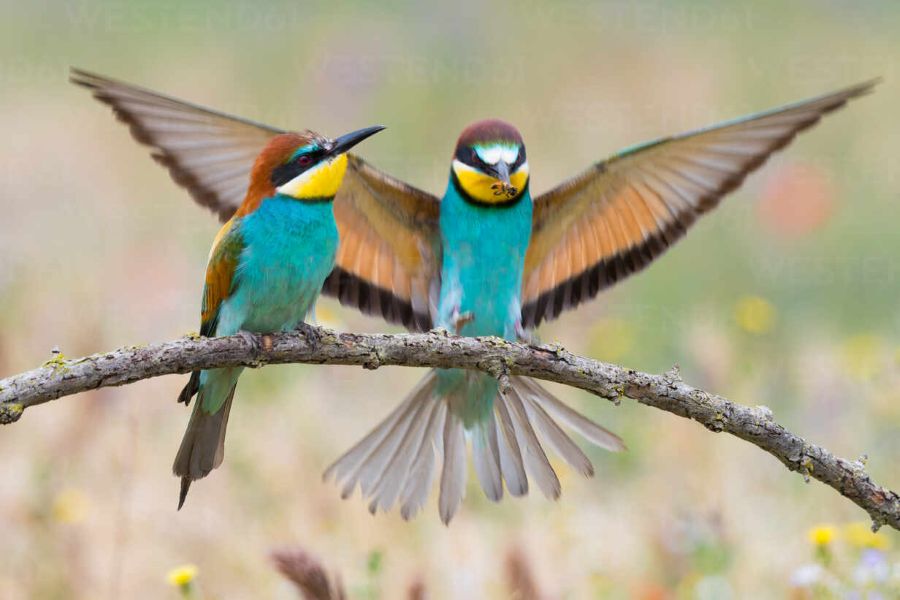 What You Carry Within